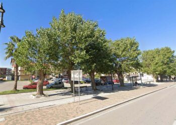 Parte la riqualificazione di piazza Arafat: pioppi a rischio caduta saranno abbattuti