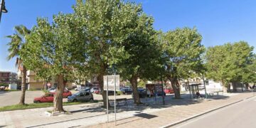 Parte la riqualificazione di piazza Arafat: pioppi a rischio caduta saranno abbattuti