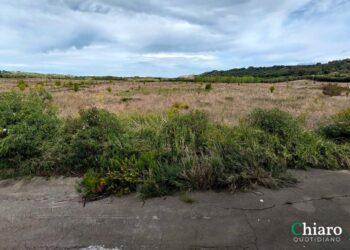 I terreni del Cotir potrebbero essere contaminati, analisi per un’eventuale bonifica