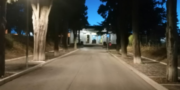 Via del Cimitero chiusa due giorni, cinque cipressi da abbattere. Il Comune: «Sono pericolosi»