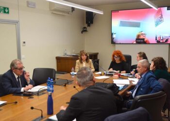 Carenza di medici di medicina generale nelle aree interne, incentivi economici cercasi