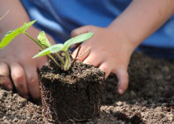 A San Salvo in arrivo gli orti sociali: spazi per cittadini, fasce deboli e scuole