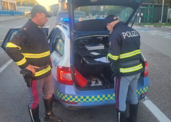 A14, polizia controlla 10 automobilisti, 3 positivi al test antidroga: patente ritirata