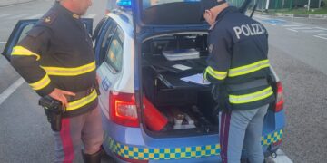 A14, polizia controlla 10 automobilisti, 3 positivi al test antidroga: patente ritirata