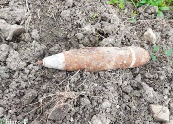 A Furci spunta proiettile della Seconda guerra mondiale durante i lavori tra i campi