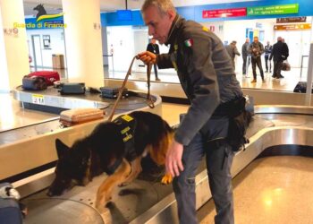 Aeroporto di Pescara, dall’inizio dell’anno sequestrati 25 chili di sigarette di contrabbando