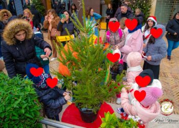 “Magico Natale” a Vasto, alunni addobbano gli alberi, il 17 l’accensione