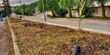 “Piantiamo alberi e Ricicliamo smartphone”, messe a dimora le piante donate dal Lions Club Vasto Host