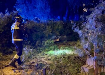 Vasto, contrada San Lorenzo al buio. Crolla un pino e blocca l’accesso a due palazzi
