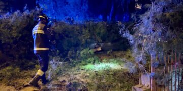 Vasto, contrada San Lorenzo al buio. Crolla un pino e blocca l’accesso a due palazzi