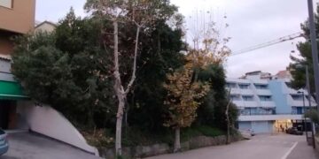 «Ratti e abbandono nell’area verde accanto alla vecchia stazione di Vasto Marina»