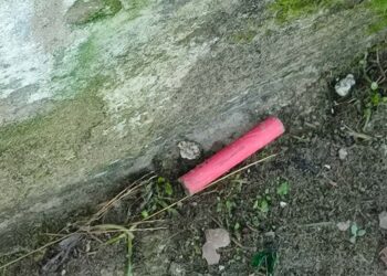 «A San Salvo si istituisca il divieto di “botti” in tutto il territorio e per il capodanno in piazza»