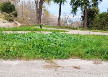 «Muro delle Lame, degrado totale e irreversibile in cui versa la pista d’atletica. Richieste inascoltate»