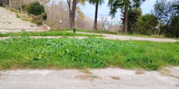 «Muro delle Lame, degrado totale e irreversibile in cui versa la pista d’atletica. Richieste inascoltate»