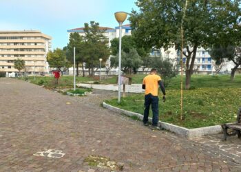 Ventuno alberi piantati nella villa “Falcone e Borsellino”, «luogo di incontro e inclusione»