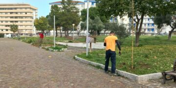 Ventuno alberi piantati nella villa “Falcone e Borsellino”, «luogo di incontro e inclusione»