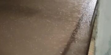 Temporale e tombini intasati causano allagamenti. Rami spezzati e piccoli smottamenti sulle strade