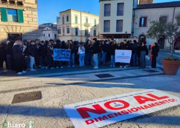 «Accorpamento Palizzi-Mattei, sacrifici chiesti sempre alle scuole per poco risparmio»