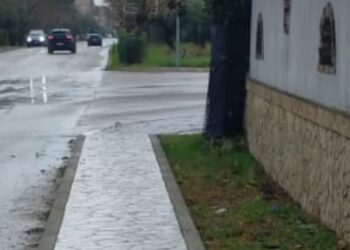 Controllo della velocità, tre nuovi box autovelox: il primo sarà installato in via del Porto