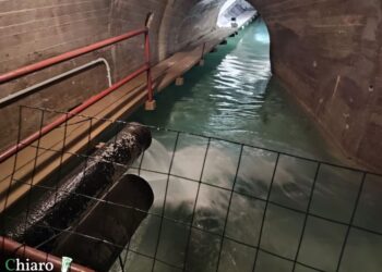 Più neve del 2024: acqua, atteso miglioramento dalle prossime settimane