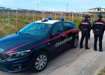 Giulianova, corpo di una donna tra i campi: è una 46enne scomparsa qualche giorno fa