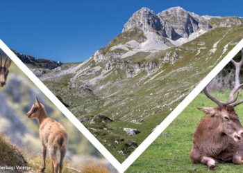 Valorizzare le risorse naturali: sabato a Vasto il direttore del Parco nazionale d’Abruzzo