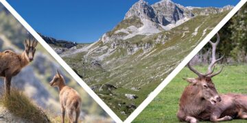 Valorizzare le risorse naturali: sabato a Vasto il direttore del Parco nazionale d’Abruzzo