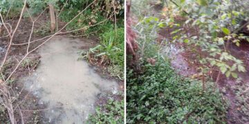 «A San Salvo una perdita d’acqua segnalata da luglio. Dopo sei mesi non è cambiato nulla»