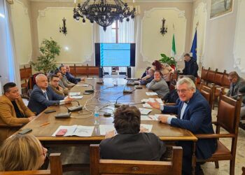 Un centro servizi per la salute nell’ex Mario Negri Sud: Provincia, Asl e Comuni a confronto