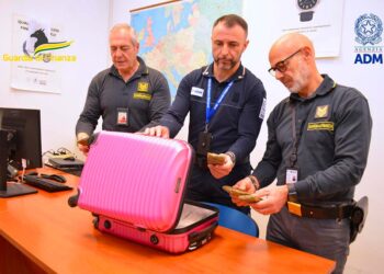 Droga nella valigia, giovane scoperto all’aeroporto di Pescara e denunciato