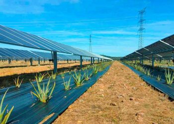Rinnovabili, presentato al Ministero progetto agrivoltaico da 18 MW a Cupello