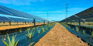Rinnovabili, presentato al Ministero progetto agrivoltaico da 18 MW a Cupello