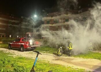 Auto a fuoco nell’area verde-parcheggio, «qui taglio selvaggio di abeti e d’estate zona di spaccio»