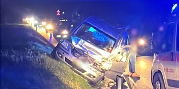 Cinghiale attraversa la SS16, due feriti e due auto danneggiate