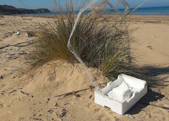 “Pescatori per Punta Penna”, il 1° marzo la raccolta dei rifiuti spiaggiati