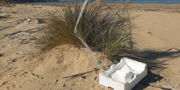 “Pescatori per Punta Penna”, il 1° marzo la raccolta dei rifiuti spiaggiati