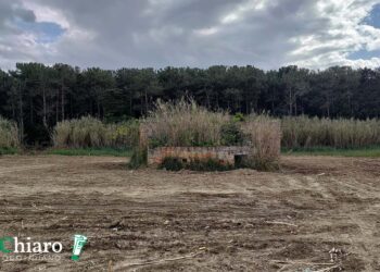 Strutture ricettive e condomini vista mare più alti: la variante per rendere la Particella 18 appetibile