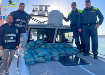 La guardia di finanza contro la pesca di frodo: sequestrati 340 kg di vongole