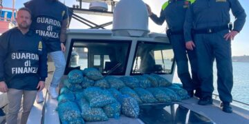 La guardia di finanza contro la pesca di frodo: sequestrati 340 kg di vongole