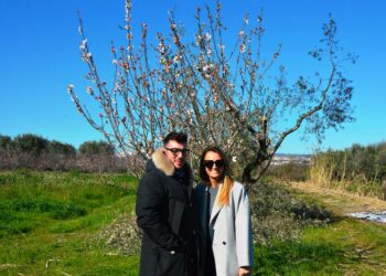 4.536 metri quadri di orti sociali a San Salvo, richieste entro il 31 marzo