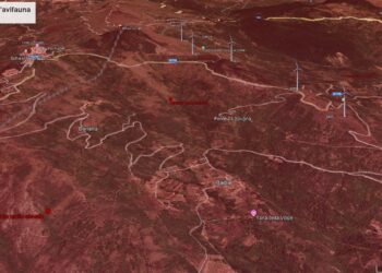 «Schiavi di Abruzzo e Celenza zone rosse: avifauna a rischio estinzione, l’eolico non si può fare»