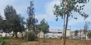 Nella zona industriale di San Salvo è iniziata la ripiantumazione di alberi