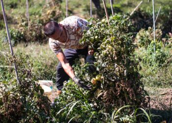 Reportage dalla Casa lavoro nel libro “Fuoriclasse”: doppia presentazione a Vasto con Alessandro Leone