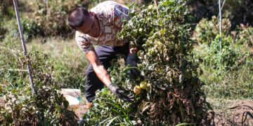 Reportage dalla Casa lavoro nel libro “Fuoriclasse”: doppia presentazione a Vasto con Alessandro Leone