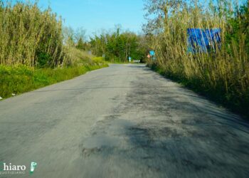 Viabilità disastrata: la strada tra Cupello e San Salvo che sembra una Provinciale ma non lo è