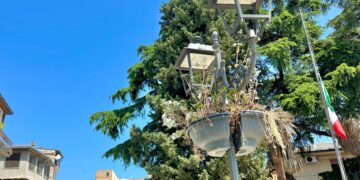 Manutenzione assente, a San Salvo vasi di erbacce pendenti al posto dei fiori