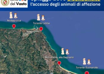 A Vasto definite le spiagge aperte agli animali d’affezione in spiaggia per la stagione balneare 2025