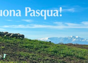 I nostri auguri di buona Pasqua: che sia all’insegna della pace e della serenità