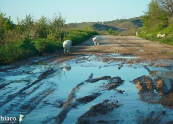 Strade che nessuno vuole: fondovalle Cena e via Buonanotte, la speranza sta nei progetti futuri