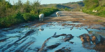 Strade che nessuno vuole: fondovalle Cena e via Buonanotte, la speranza sta nei progetti futuri